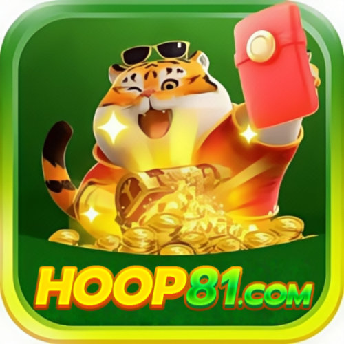 hoop81 Premium 2026